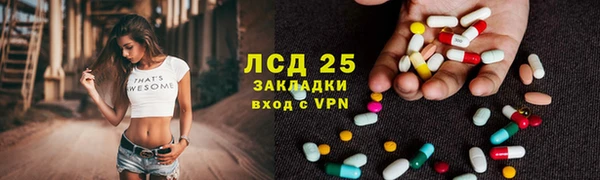 индика Алексин