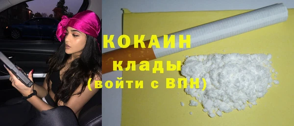 индика Алексин