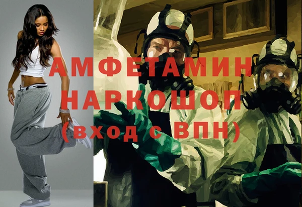 индика Алексин