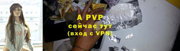 apvp Алзамай