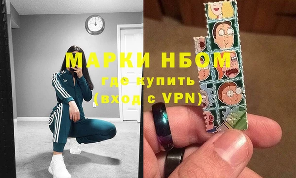 индика Алексин