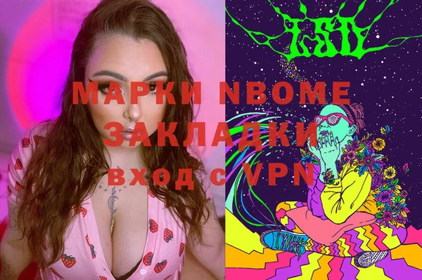 apvp Алзамай