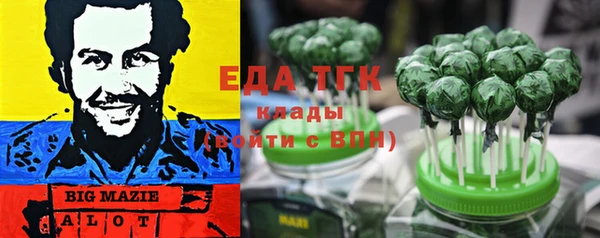 apvp Алзамай